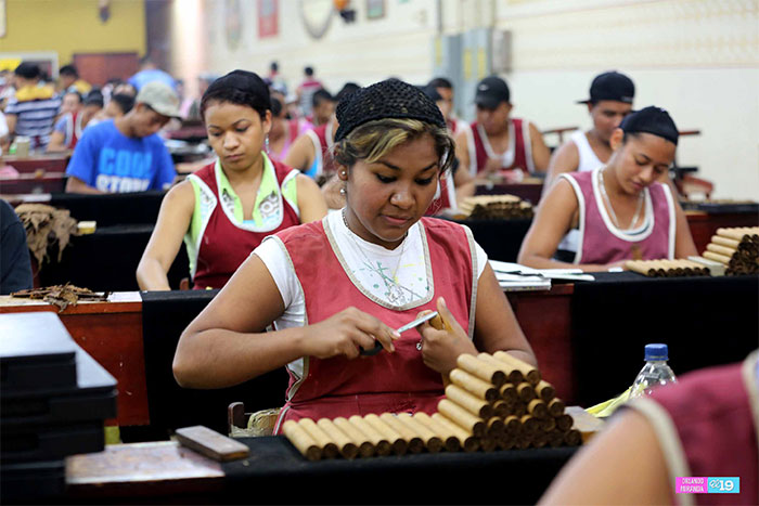 Nicaragua impresiona por su producción y calidad de tabaco