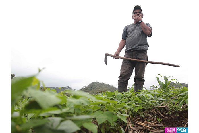 Productores de Matagalpa destacan resultados en implementación de prácticas agroecológicas
