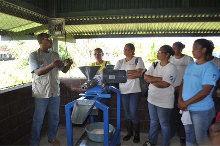 Entra en operaciones planta extractora de aceite de coco en Laguna de Perlas