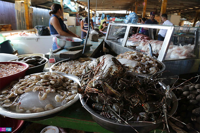 Precios de la canasta básica se mantienen estables en mercados de Managua