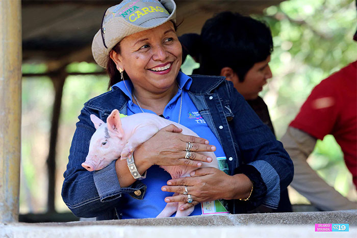 INTA comparte con productores de Posoltega nuevas tecnologías de forrajes