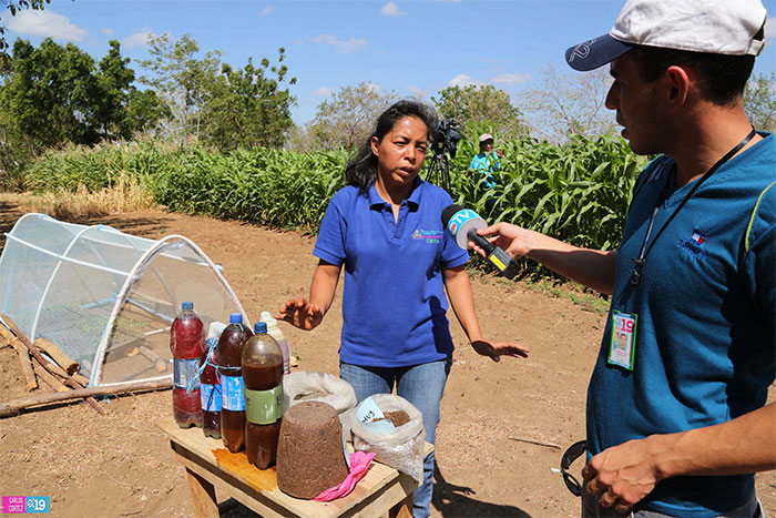 Diversificación de cultivos, la mejor opción para pequeños agricultores