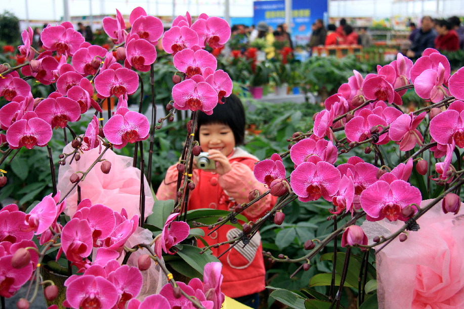 Millones de personas celebran el comienzo de un nuevo año lunar