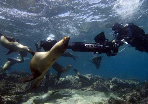 Google captura imágenes de islas Galápagos para Street View