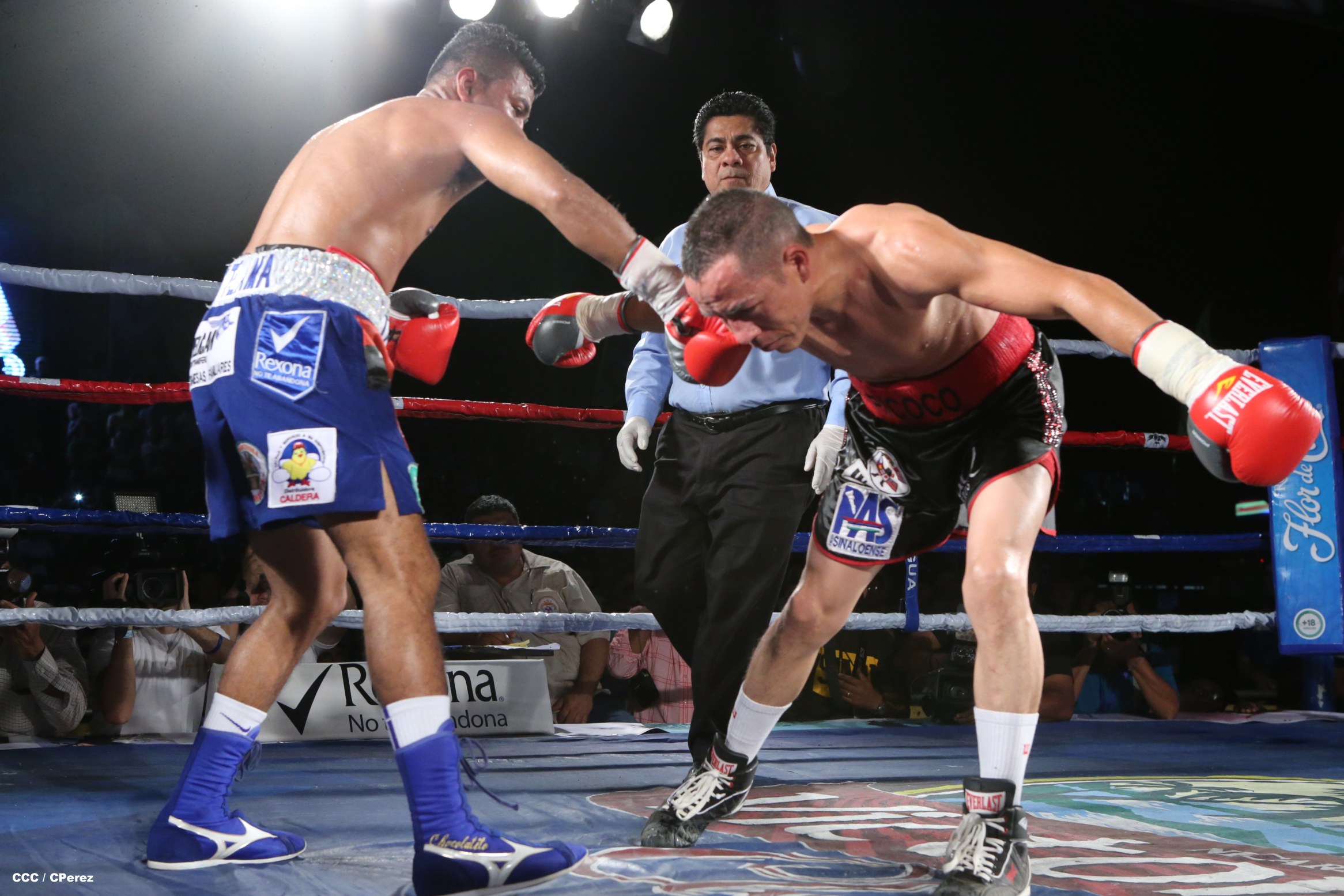 "Chocolatito" González noquea al mexicano Valentín León en Nicaragua 