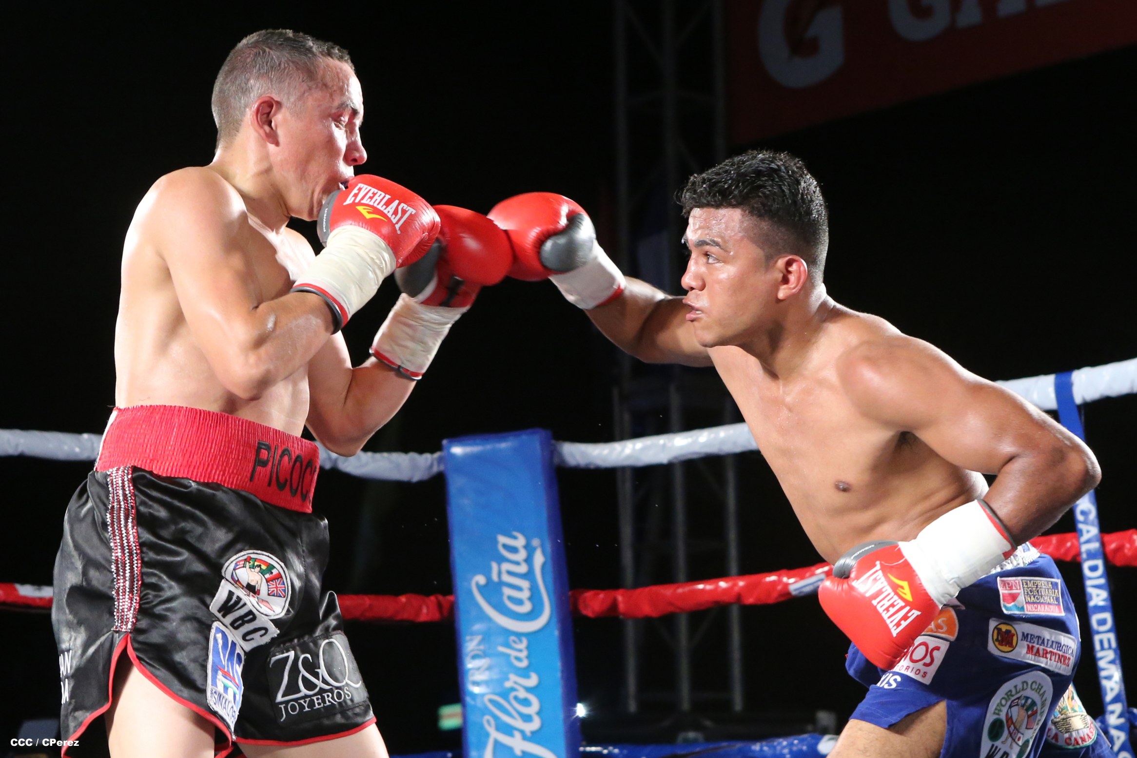 "Chocolatito" González noquea al mexicano Valentín León en Nicaragua 