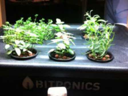 Tecnologías revolucionan el arte de cultivar el propio alimento