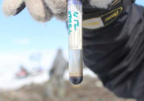 Hallan cadáver de mamut con sangre líquida