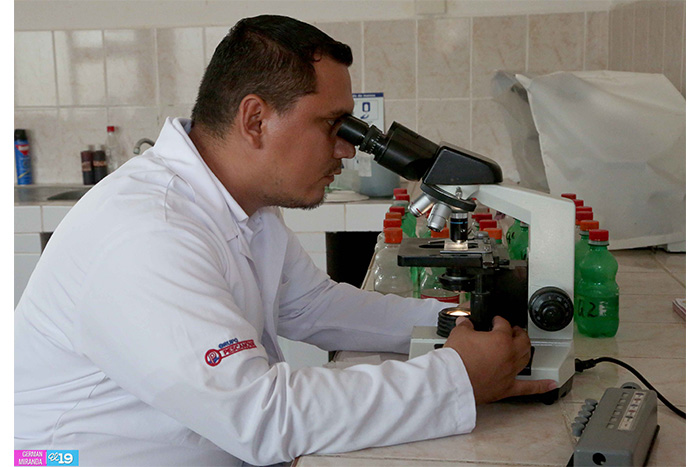 Nicaragua potencia desarrollo de granjas camaroneras