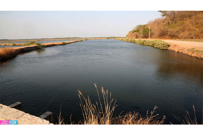 Nicaragua potencia desarrollo de granjas camaroneras