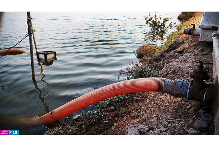 Nicaragua potencia desarrollo de granjas camaroneras