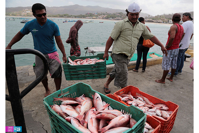Pescadores de San Juan del Sur fortalecen sus capacidades productivas