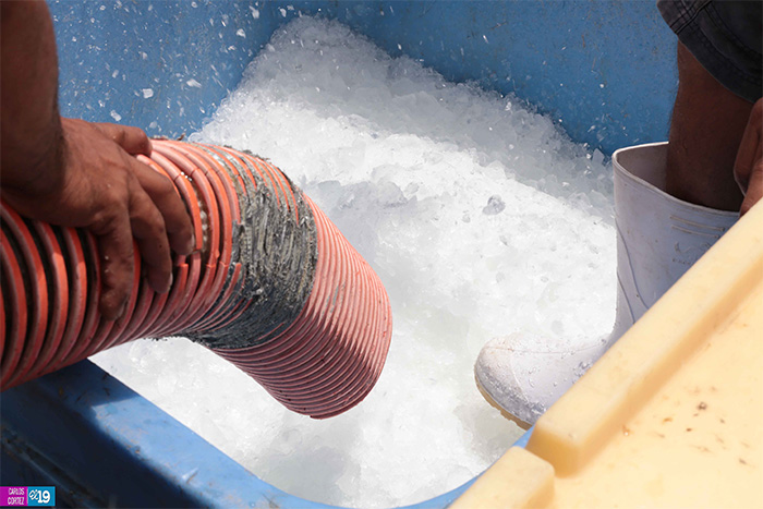 Pescadores de San Juan del Sur fortalecen sus capacidades productivas