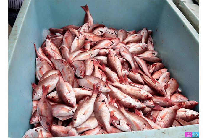 Pescadores de San Juan del Sur fortalecen sus capacidades productivas