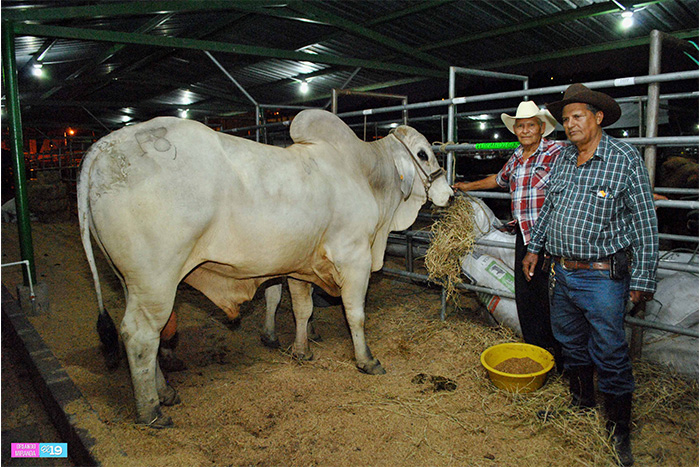 VII Feria Nacional Agropecuaria en Juigalpa