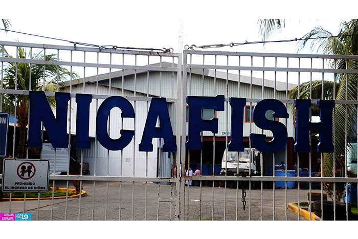 Explotación racional y sostenible de recursos pesqueros garantiza exportaciones todo el año