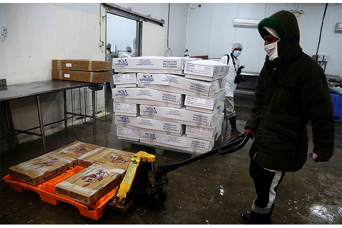 Explotación racional y sostenible de recursos pesqueros garantiza exportaciones todo el año