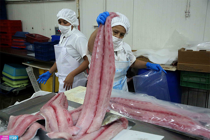 Explotación racional y sostenible de recursos pesqueros garantiza exportaciones todo el año