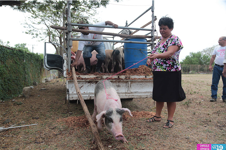 Familias de Managua reciben Bono Productivo en su nueva modalidad