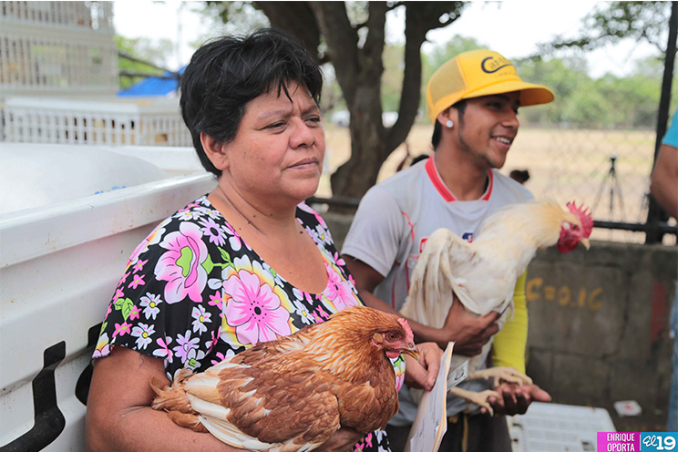 Familias de Managua reciben Bono Productivo en su nueva modalidad