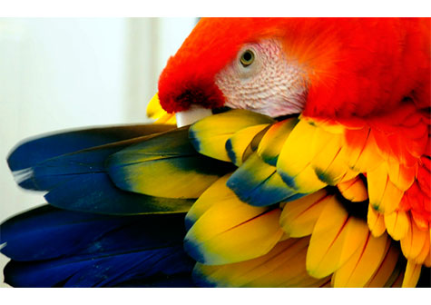 5 de Junio, Día Mundial del Medio Ambiente