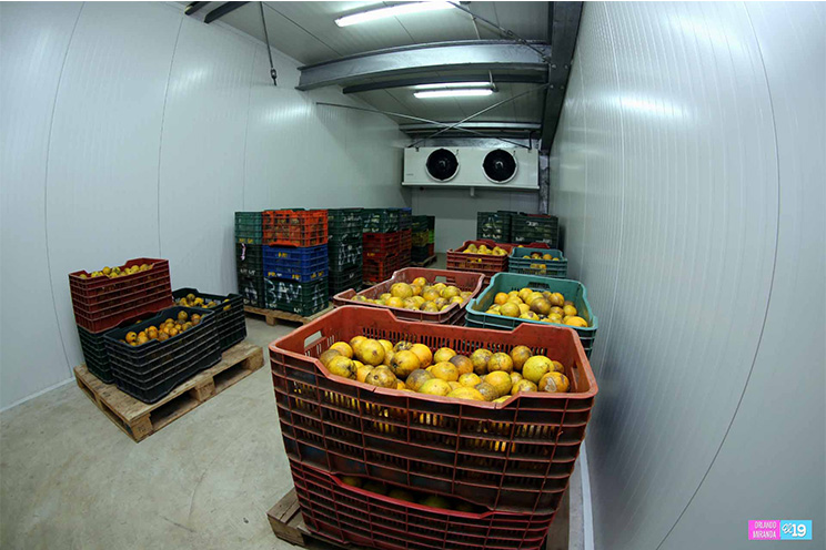 Comerciantes satisfechos con la funcionalidad de los cuartos fríos