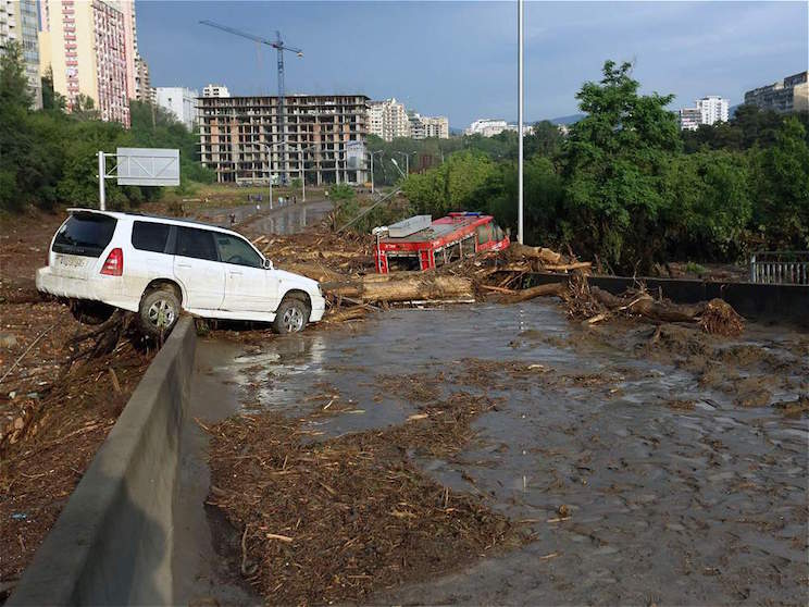 Tiflis, ocupada por las fieras tras inundaciones que dejan 12 muertos