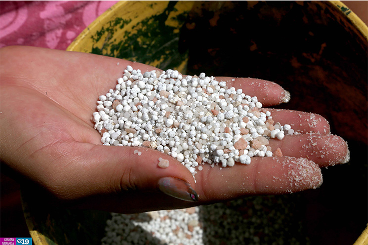 Productores de Estelí inician siembra de primera