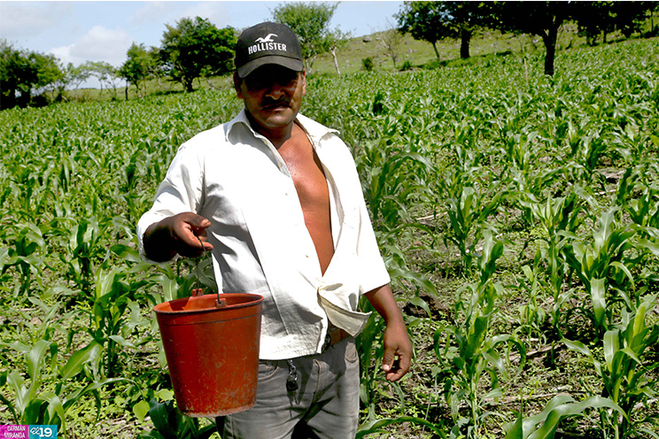 Productores de Estelí inician siembra de primera