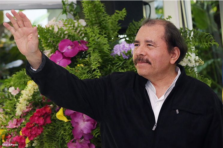 Presidente Daniel recibe cartas credenciales de embajadores de Ecuador, Honduras, Panamá y Perú