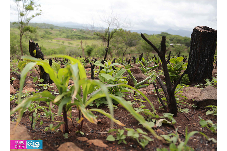 MAG asesora a productores de Chontales en el fortalecimiento de sistemas de riego