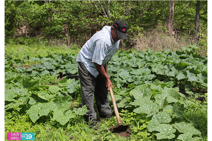 MAG asesora a productores de Chontales en el fortalecimiento de sistemas de riego