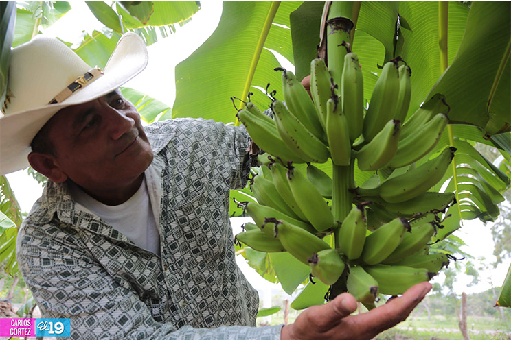 MAG asesora a productores de Chontales en el fortalecimiento de sistemas de riego