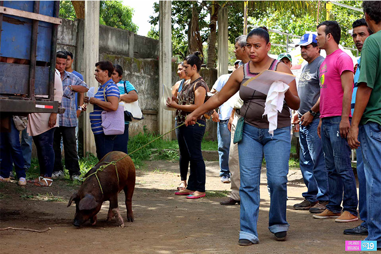 Familias empobrecidas se incorporan a actividades productivas gracias a programas de Gobierno
