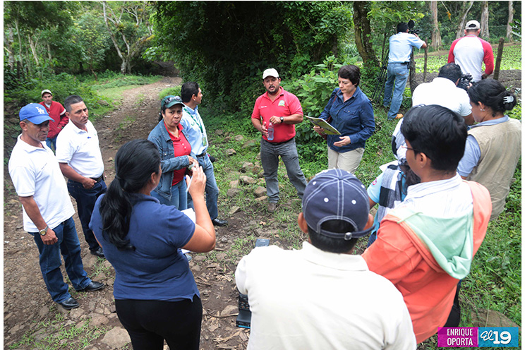 Sector hortícola enfocado en mejorar productividad y calidad para exportar