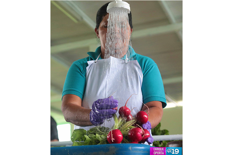 Sector hortícola enfocado en mejorar productividad y calidad para exportar