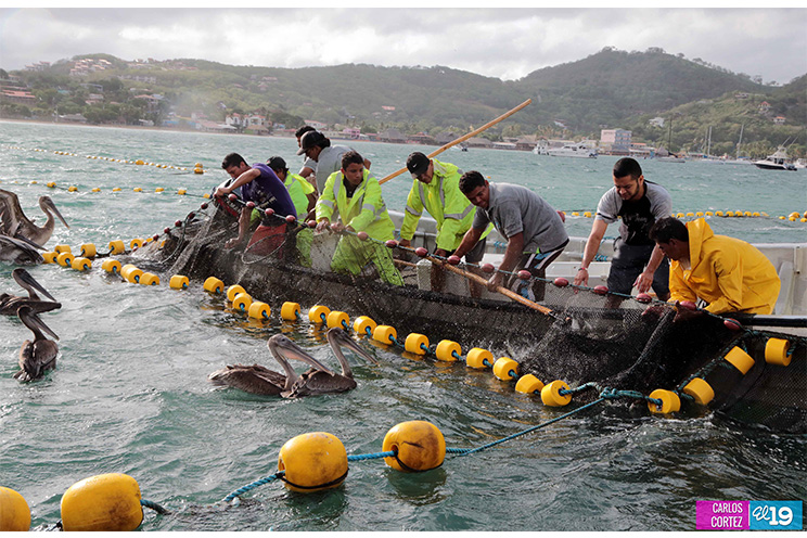 INPESCA, con el apoyo del JICA, promueve nuevas tecnologías de pesca