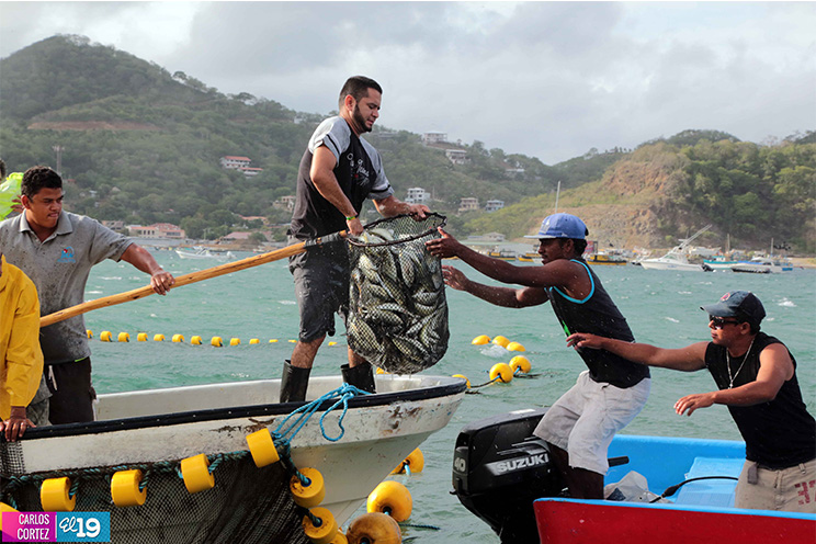 INPESCA, con el apoyo del JICA, promueve nuevas tecnologías de pesca