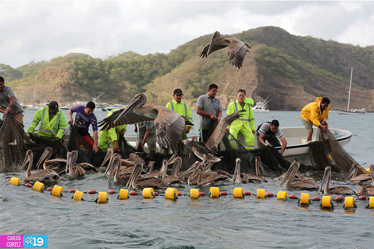 INPESCA, con el apoyo del JICA, promueve nuevas tecnologías de pesca