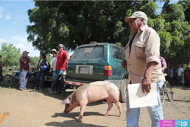 Bono Productivo Alimentario llega a familias de Mateare