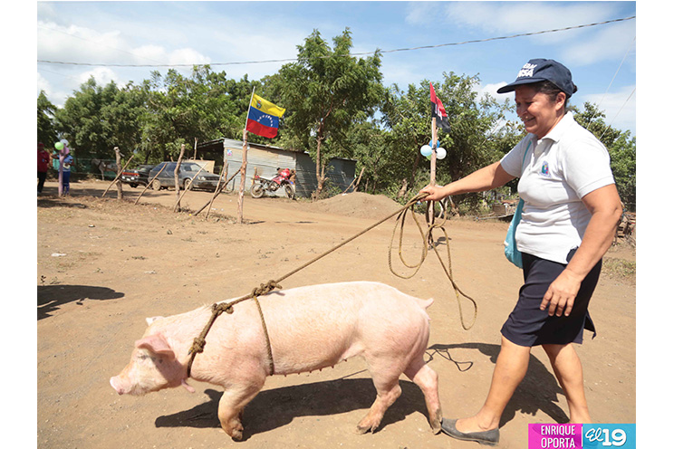 Bono Productivo Alimentario llega a familias de Mateare
