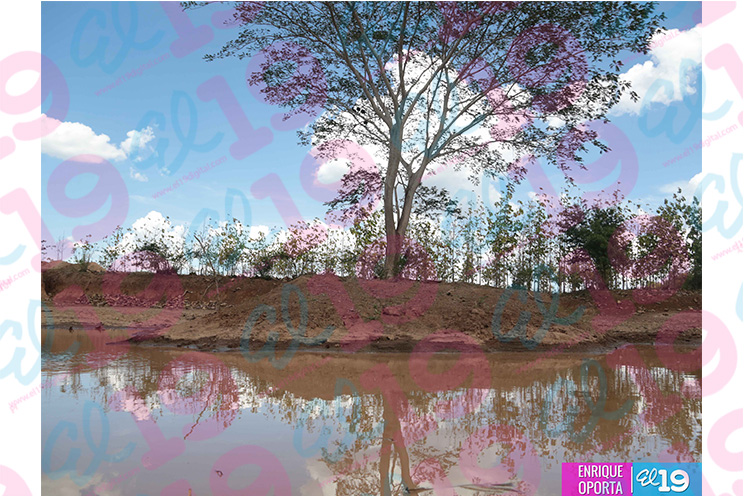 Productores de Malpaisillo destacan ventajas de instalar reservorios de agua