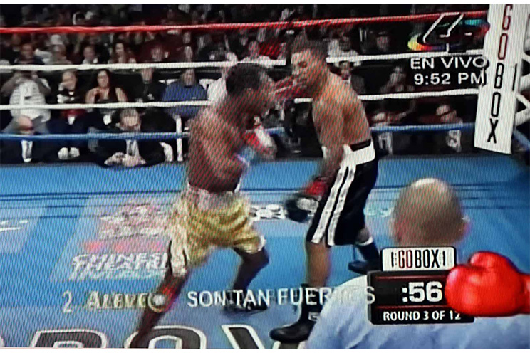 Ricardo Mayorga cae por nocaut ante Shane Mosley