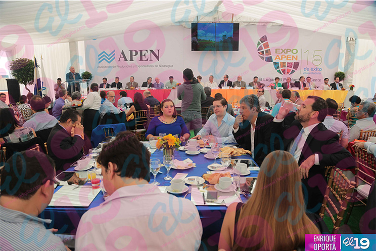 Inicia Feria Expo-APEN 2015