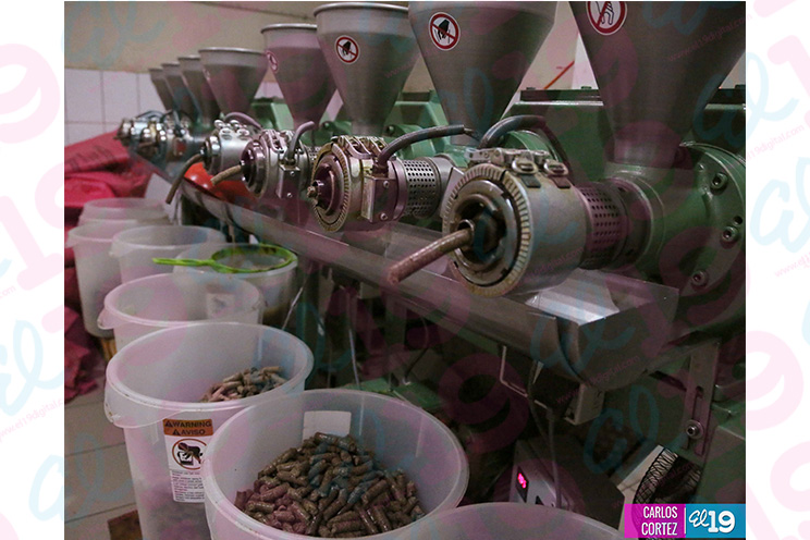 Manos laboriosas de Achuapa innovan productos a través del procesamiento de Ajonjolí