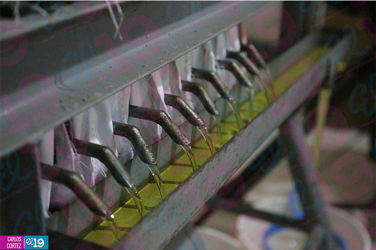 Manos laboriosas de Achuapa innovan productos a través del procesamiento de Ajonjolí