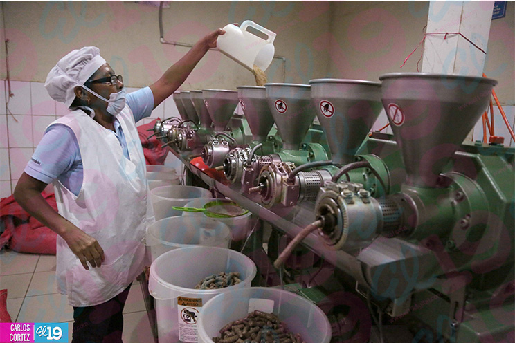 Manos laboriosas de Achuapa innovan productos a través del procesamiento de Ajonjolí