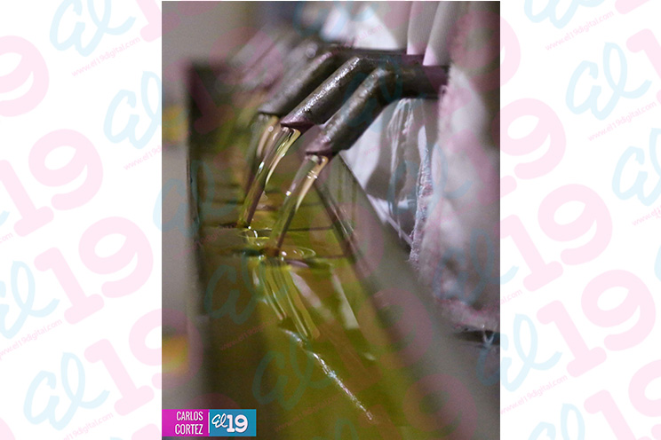 Manos laboriosas de Achuapa innovan productos a través del procesamiento de Ajonjolí