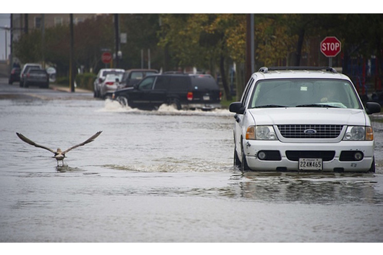 Al menos 16 muertos por inundaciones en Riviera Francesa (FOTOS, VIDEO)