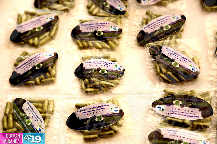 Productores de marango en fructífero encuentro con gabinete de producción